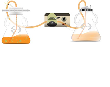 RapidClearCap_illustration