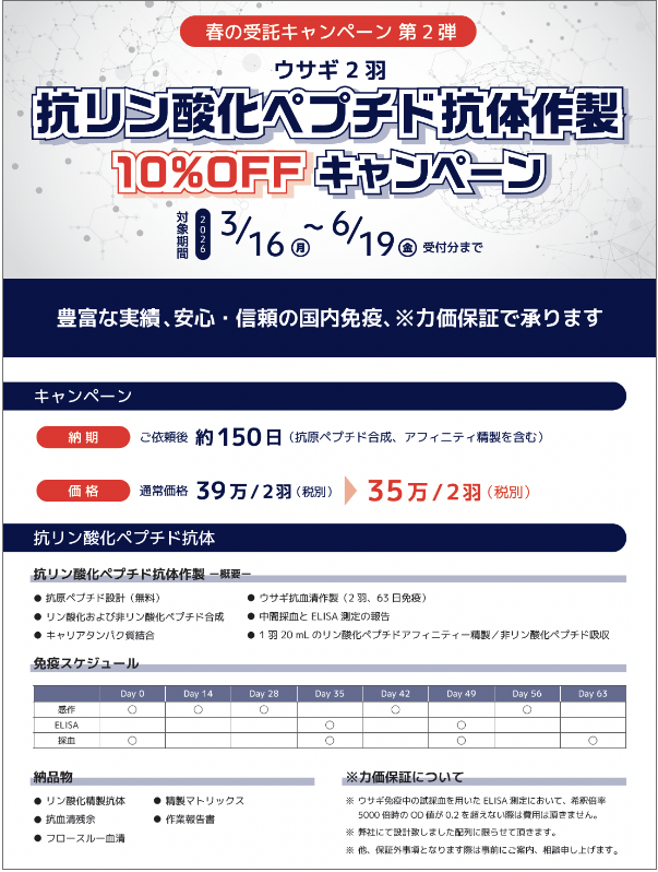 Anti-phospho-peptide-antibody _20260316-20260619_kv.png