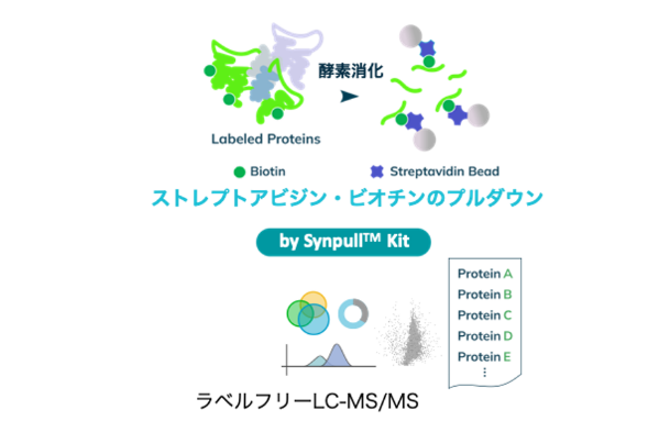 Label_Free_LC_MS_MS_with_Streptavidin_Biotin_Pulldown_Synpull_Kit