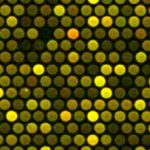 Cytogenomics-Medical-Genetics-1-150x150.jpg