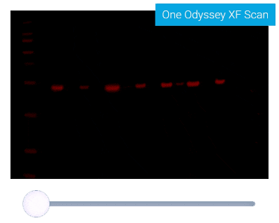 Odyssey_XF_Dynamic-range_animation_background-removed