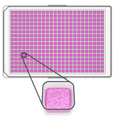 htp_model_adjusted