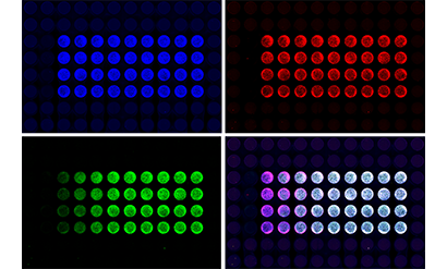 3 color_ICW