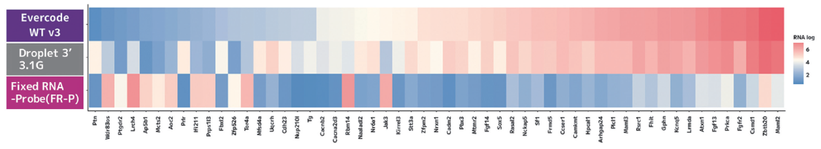 rna-expression-heatmap-evercode-wt-v3-droplet-3p-fixed-rna-probe