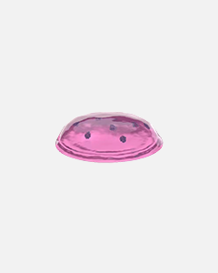cells_inside_gel_formation_240px