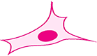 Transparency_colord_80px