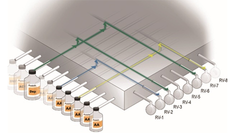 purepep_pathway