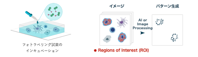 Photolabeling_Reagent_Incubation_and_ROI_Pattern_Generation