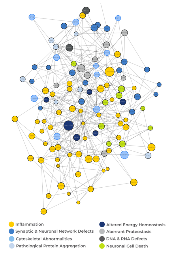 CNS-panel-network-integrated