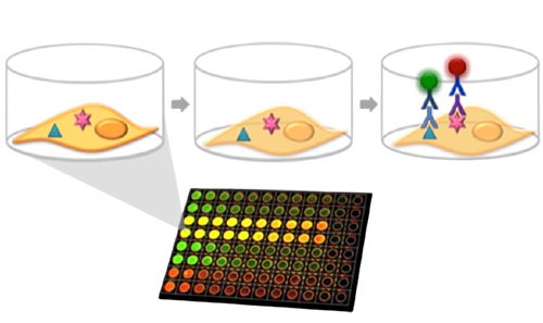 980-12757_pg7_ICWSchematic-removebg-preview.png