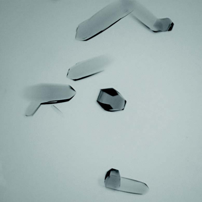 protein_crystals