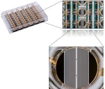 E-Plate_CardioECR_WellView