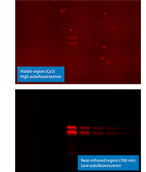 NIR vs Visible WB_comparison