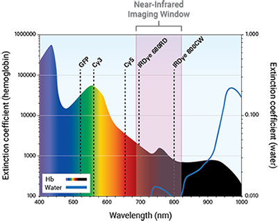 spectrum-nir-imaging-window