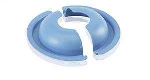 lid