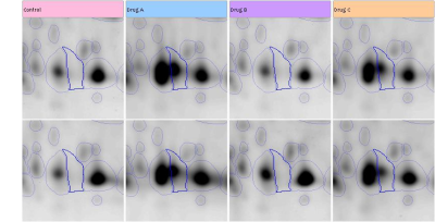 SameSpots_100%_spot_matching