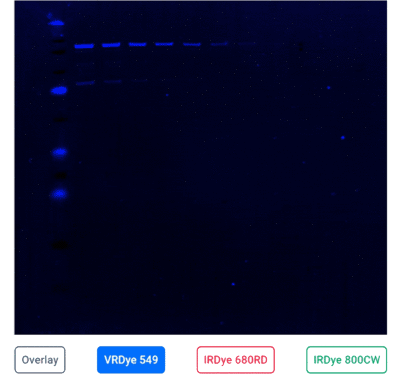OdyM_3-color-WB_animation
