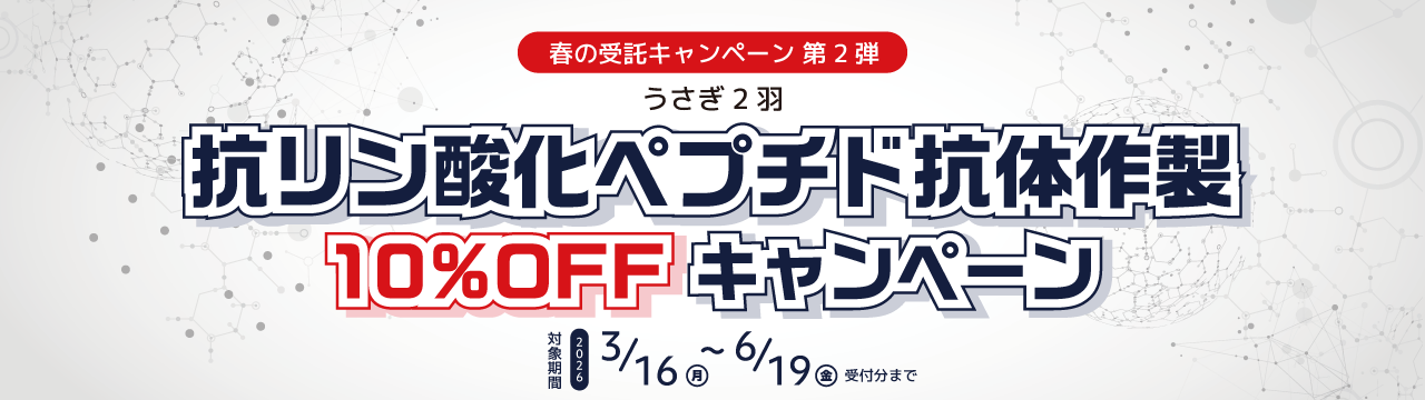 抗リン酸化ペプチド抗体作製キャンペーン