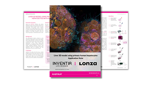 Liver 3D model using primary human hepatocytes