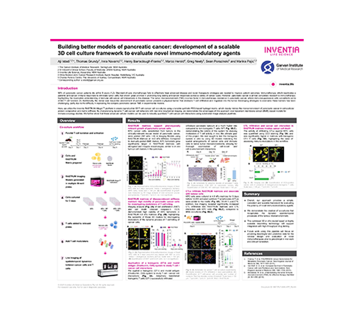 Building better models of pancreatic cancer development of a scalable 3D cell culture framework evalluate novel immuno modulatory agents