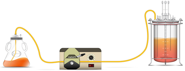 Bidirectional-Transfer-Cap-illustration