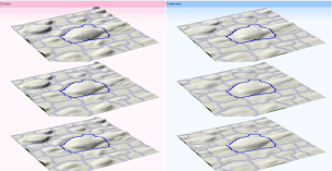SameSpots_3D_view