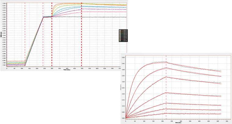 kinetics_data