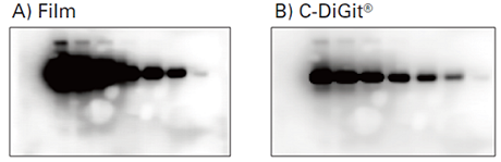 cdgt_vs_film_image