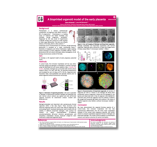 A bioprinted organoid model of the early placenta