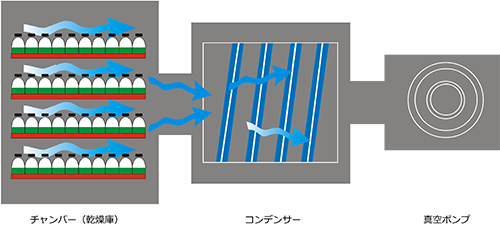 freeze-dryer