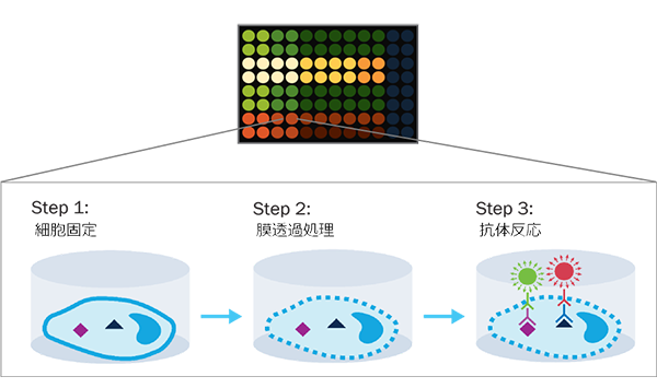 ICW_schematic_edited