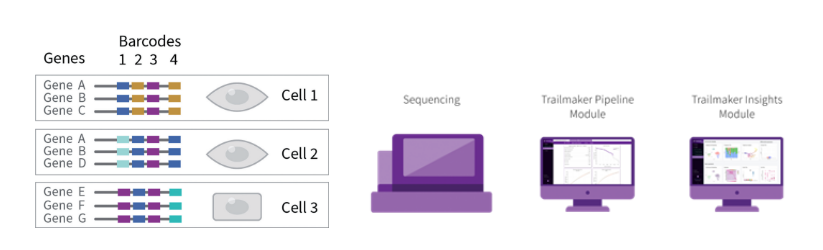 parse-evercode-sequencing-data-analysis-trailmaker
