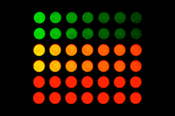 icw-clx.jpg