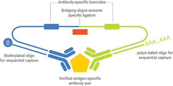 NULISA_immunocomplex