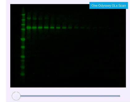 Odyssey_DLx_Dynamic-range_animation_fast
