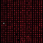 Protein-Arrays-1-150x150.jpg