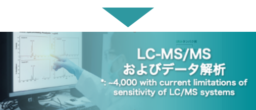 LC-MS-MS Analysis – Sensitivity Overview