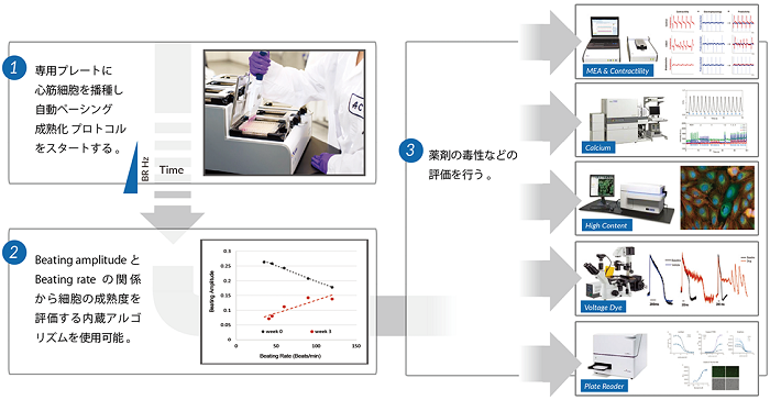 ePacer_Overall_Workflow