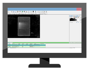 ddigit-analysis_360px