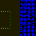bandeau-infectiology-1-150x150.png