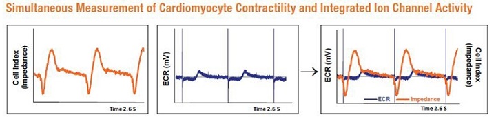 Impedance_ECR_Overlay