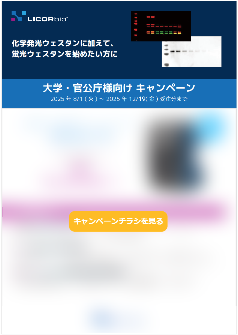 xf_campaign_flyer.png