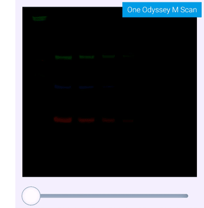 Odyssy_M_Dynamic-range_animation_fast_margin