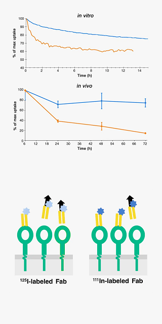drug_conjugates