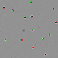 small_cells