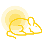 Mouse-Panel-Icon-150x150px