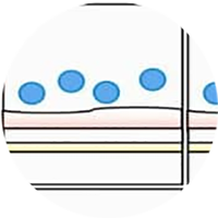 transmigration_link.png