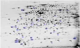 SameSpots_spot_picking_view