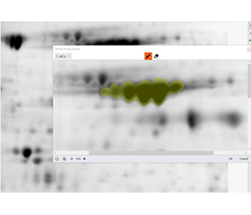 SpotMap_product spot