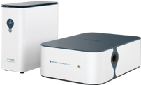 Syncell_Inc.png